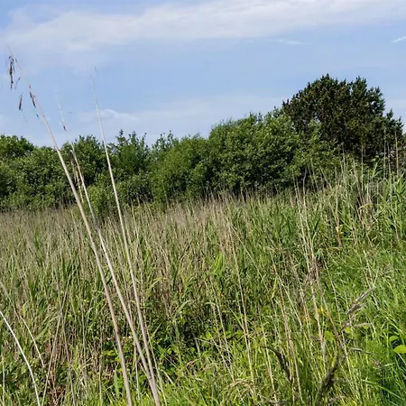 Prázdninový dům Hunlef - 1-7km From The Sea By Interhome *