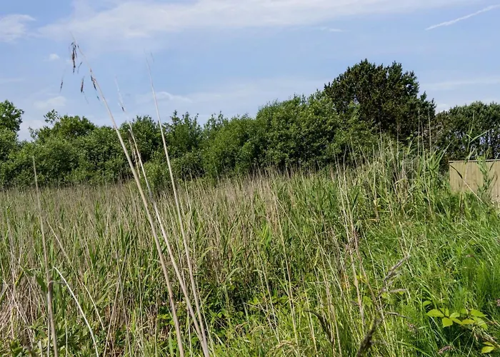 Semesterbostad Hunlef - 1-7km From The Sea By Interhome *